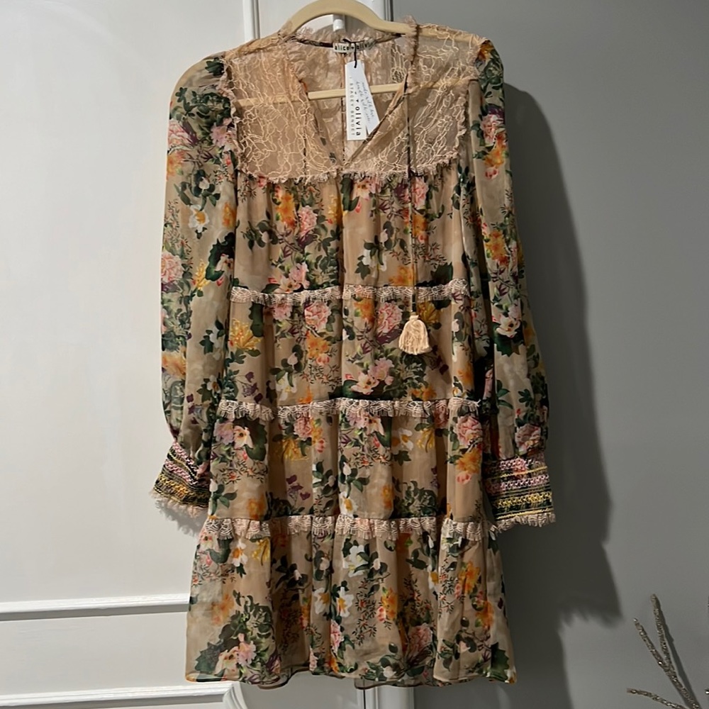 Alice and Olivia Marcie Ruffle Tiered Tunic Dress